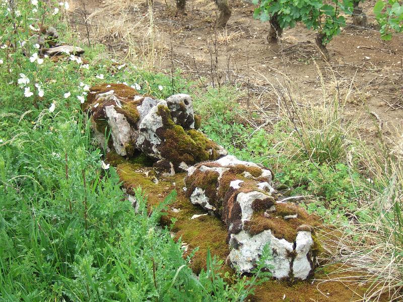 2010-05- (89).JPG